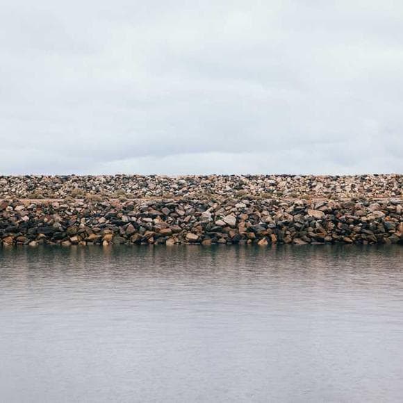 ai weiwei Quotes Publishing,Architecture,Creatures