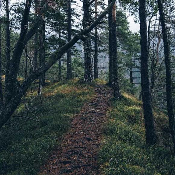 brené brown Quotes Our Lives,Busy,Armor