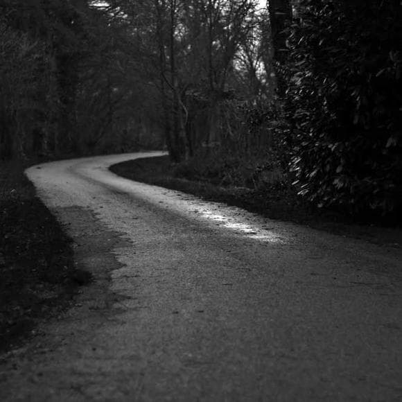 scott avett Quotes Way,Neglect,I Had A Dream