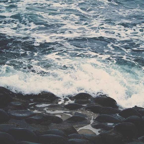 paul tillich Quotes Forgiving,Asking,Arrogance