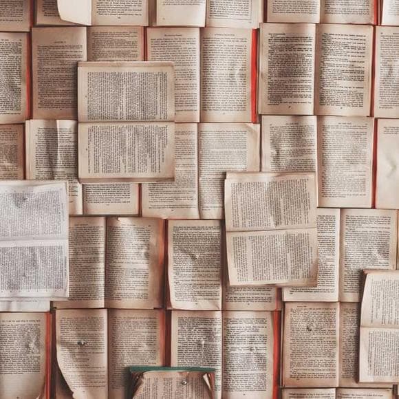 catharine mackinnon Quotes Equality,Assault,Syllables