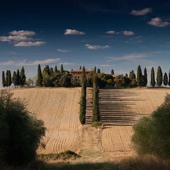 jonathan safran foer Quotes Wander,Atmosphere,Conclusion