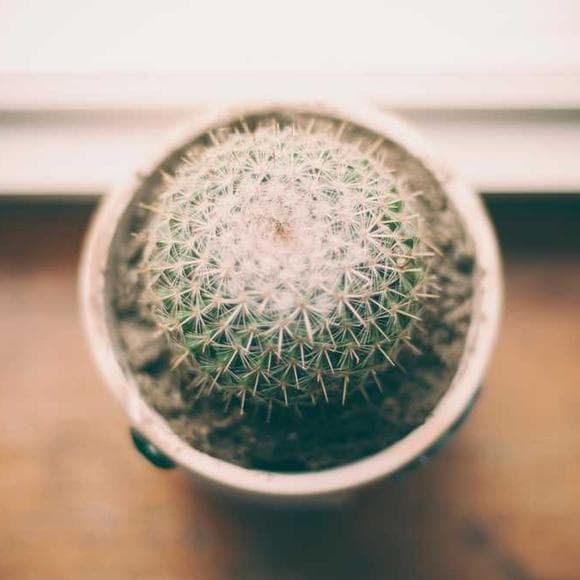 ram dass Quotes Spirituality,Attempting,Be Here Now