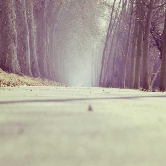 stephen chbosky Quotes Aunt,Driving,Grateful