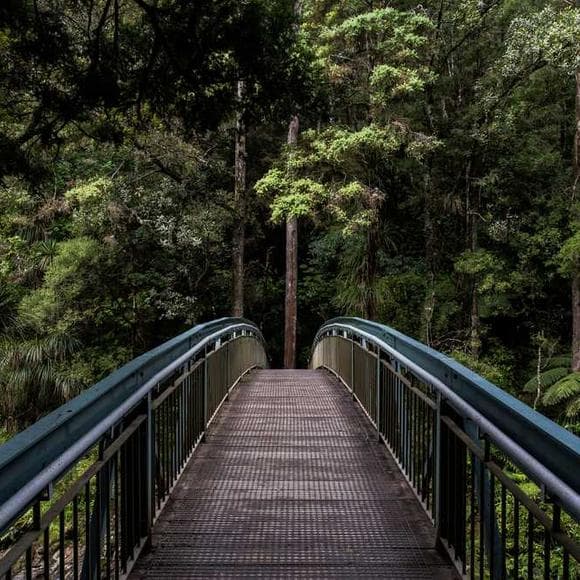 catherine helen spence Quotes Australia,South,Discovery