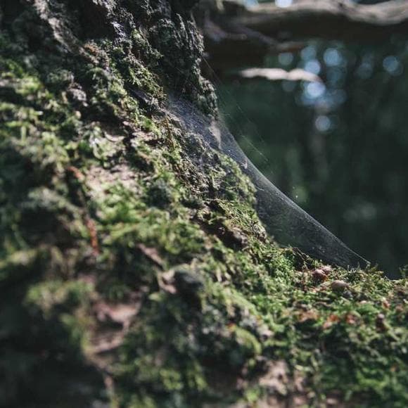 sharon salzberg Quotes Source,Awakening,Spiritual Awakening
