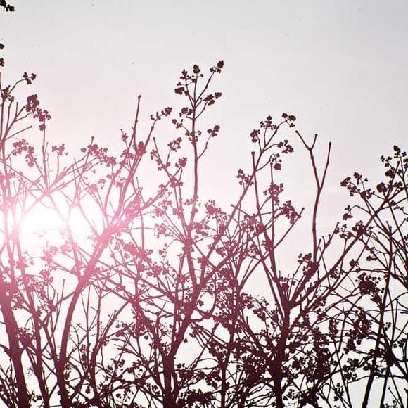 gabriel garcia marquez Quotes Curiosity,Awakening,Beauty Of The World