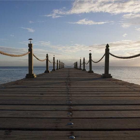 jane rule Quotes Balance,Strive,Harmonious