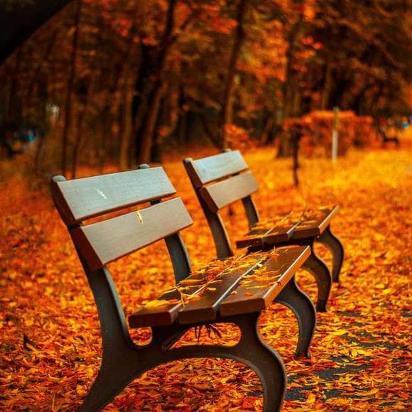 robert frost Quotes Burning,Tears,Bitterness