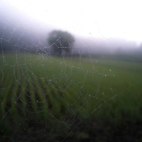 chuck klosterman Quotes Worst,Participation,Vision