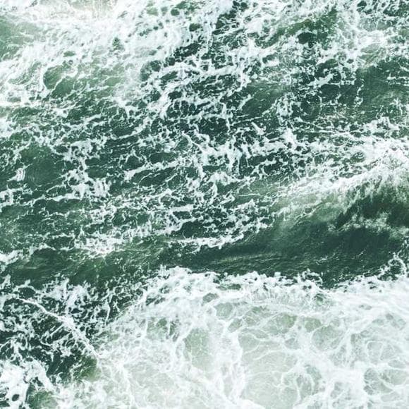 cecelia ahern Quotes Sea,Survived,Sand