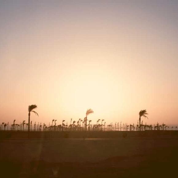 amy hempel Quotes Wave,Touching,Beach
