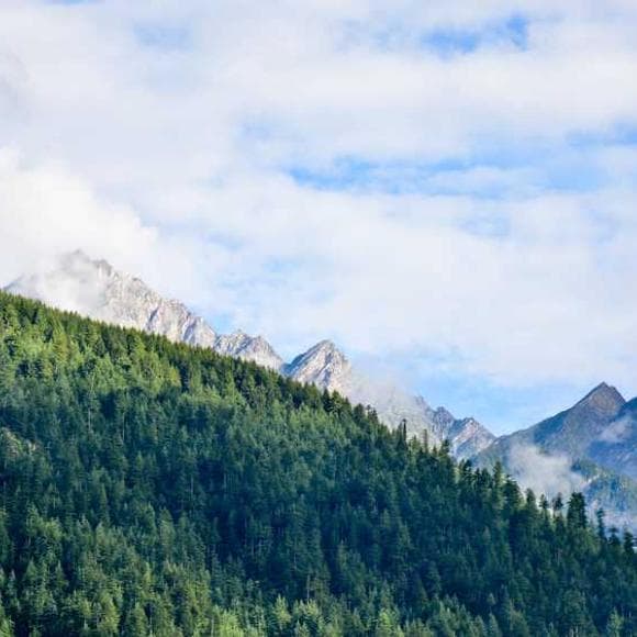 viktor e. frankl Quotes Cancer,Find Me,Bears