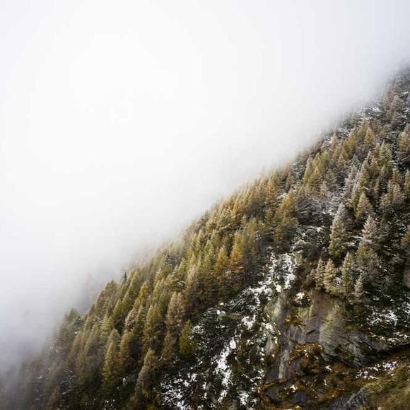chris isaak Quotes Beautiful Day,Praying