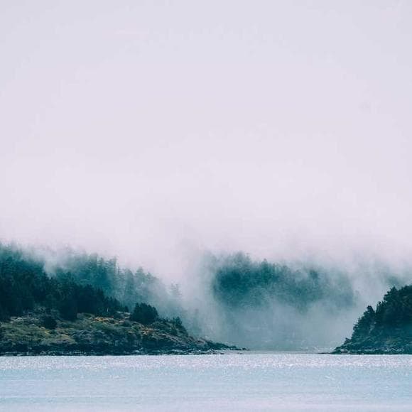 ralph waldo emerson Quotes I Am Alive,Isolation,Good Morning