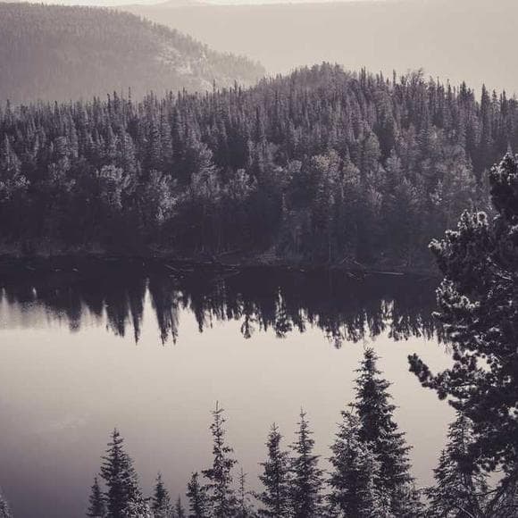 william hazlitt Quotes Eye,Nature,Nature And Beauty