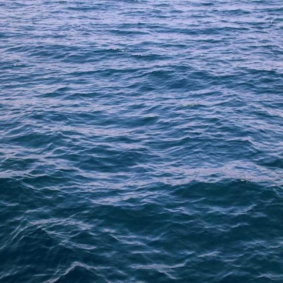rajneesh Quotes Manifestation,Choices,Sadness