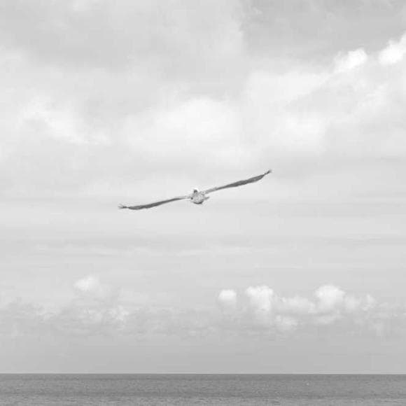 wei wu wei Quotes Realising,Kicking,Beggar