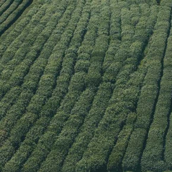 steven chu Quotes Obsessed,Efficient,Corny