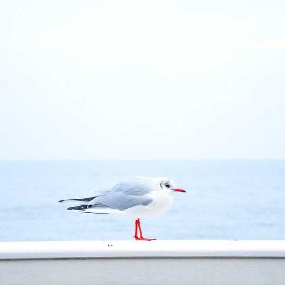 tim ferriss Quotes Busy,Being Busy,Laziness