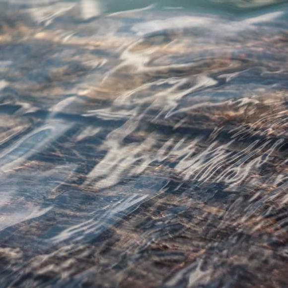 laurel clark Quotes Example,Patterns,Ocean