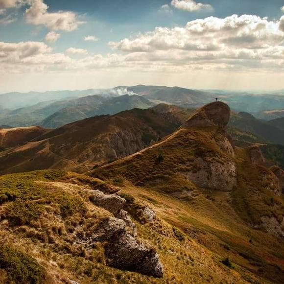joyce meyer Quotes Forward In Life,Being Happy,Happiness And Success