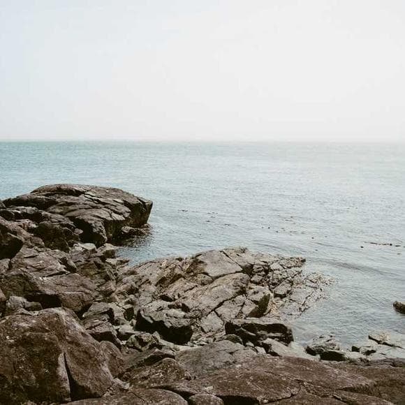 henri nouwen Quotes Powerless,Being Human,Compassion
