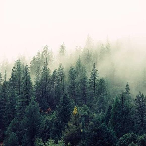 john steinbeck Quotes Loneliness,Inexplicable,Being Lonely