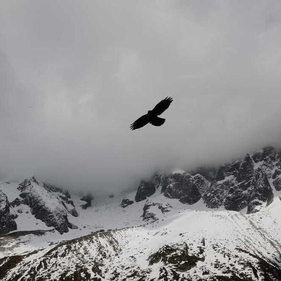 henry david thoreau Quotes Being Sick,Consolation