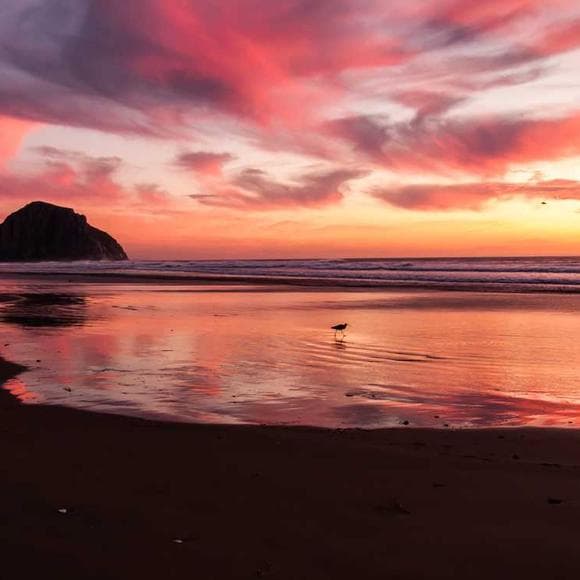 vernon howard Quotes Life And Living,Living A Simple Life,Being Successful