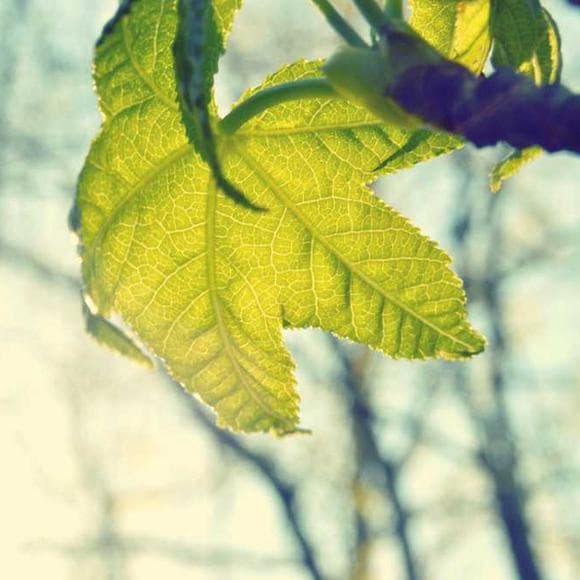 michel de montaigne Quotes Fleeing,Self Discovery,Finding Yourself