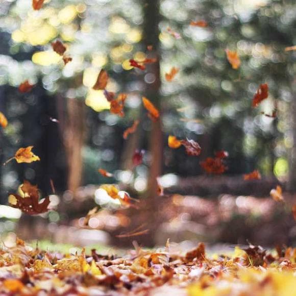 shunryu suzuki Quotes Being Yourself,Right Way,Life Learning