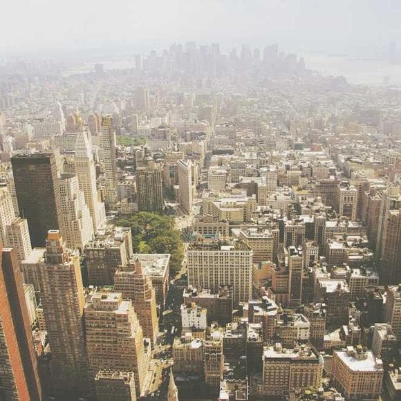 tony hiss Quotes Hiking,Needs,Democracy