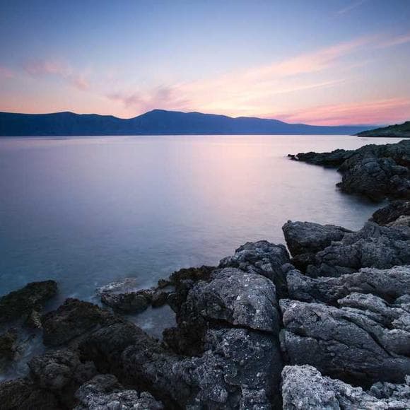 paul tillich Quotes Purpose,Triumph,Dozen