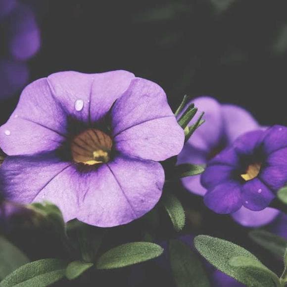 oswald chambers Quotes Readiness,Ready,Big Things