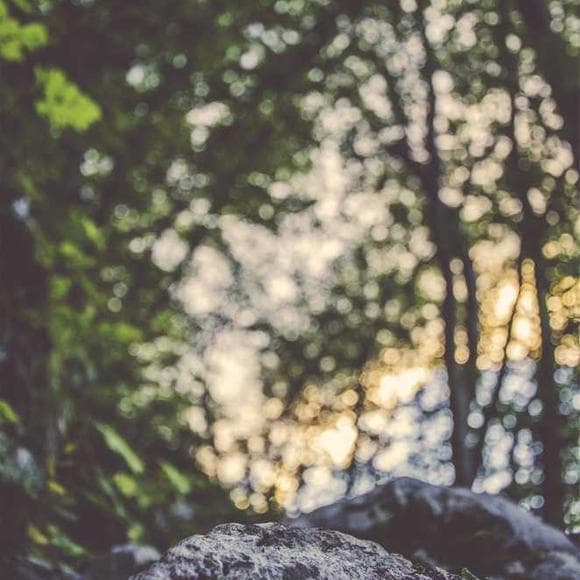 dietrich bonhoeffer Quotes Wounds,Our Love,Distress