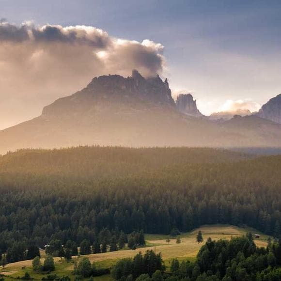 joseph campbell Quotes Bliss,Cosmic,Track