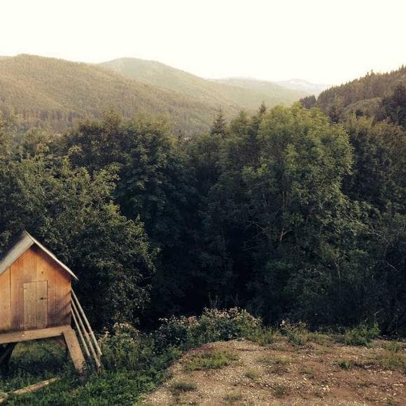 jim harrison Quotes Jumping,Bloody,Holes