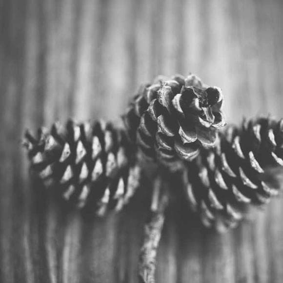 james longstreet Quotes Blow,Broken,Files