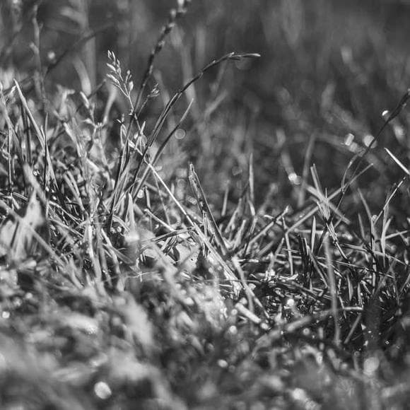 willa cather Quotes Creativity And Writing,Materials,Reading Writing