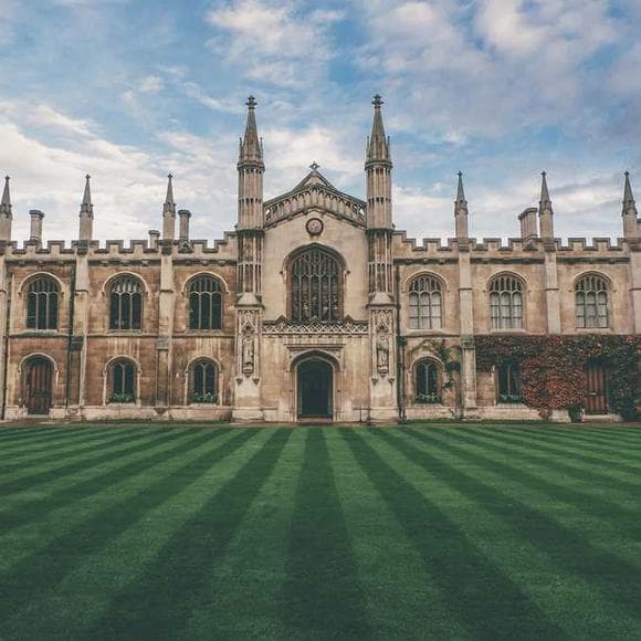 helen rowland Quotes College,Doctors,Ordinary