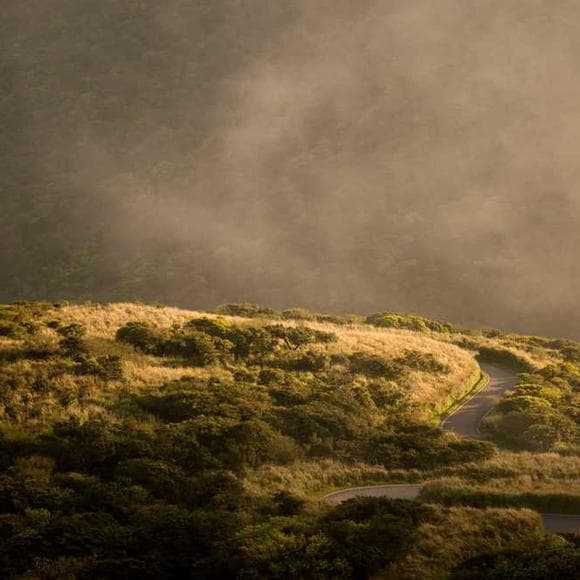 tom stoppard Quotes Boulders,Slopes,Hades