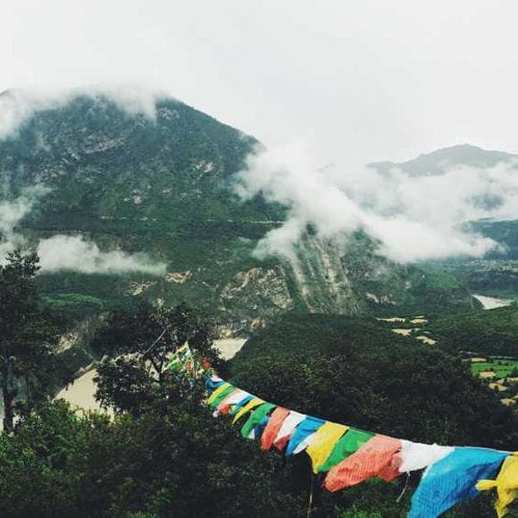 nhat hanh Quotes Tea,Showers,Breakfast