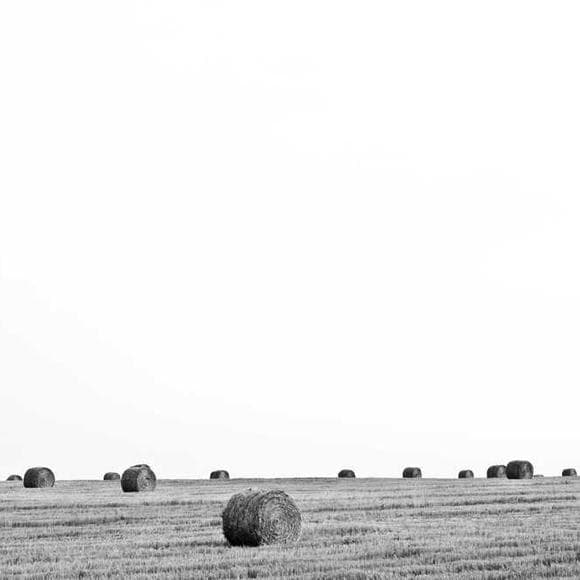 stephenie meyer Quotes Dream,Peaceful,Emptiness