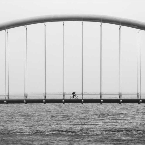 warren buffett Quotes Pounds,Bridges,Truck
