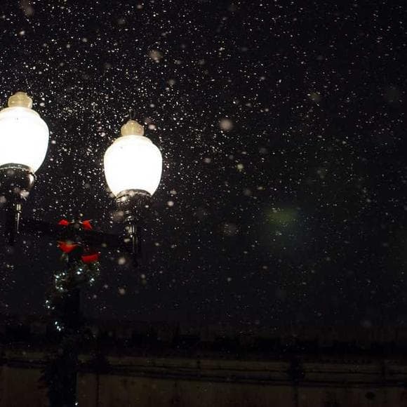 markus zusak Quotes Night,Night Love,Disappointment