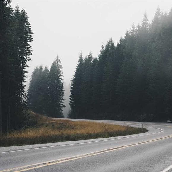 gary snyder Quotes Thick,Summer,Broke