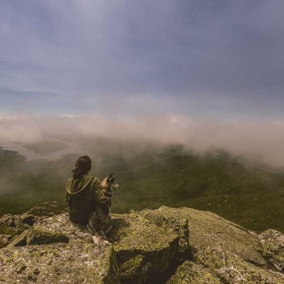 jacob needleman Quotes Islam,Exploration,Quality