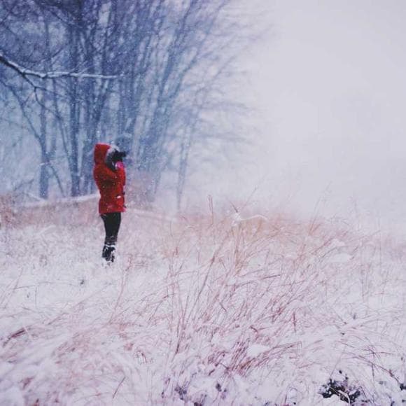 p. j. o'rourke Quotes Quitting,Parks,Bugs