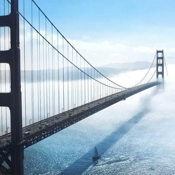 aaron levie Quotes Building,Needs,Problem Solving